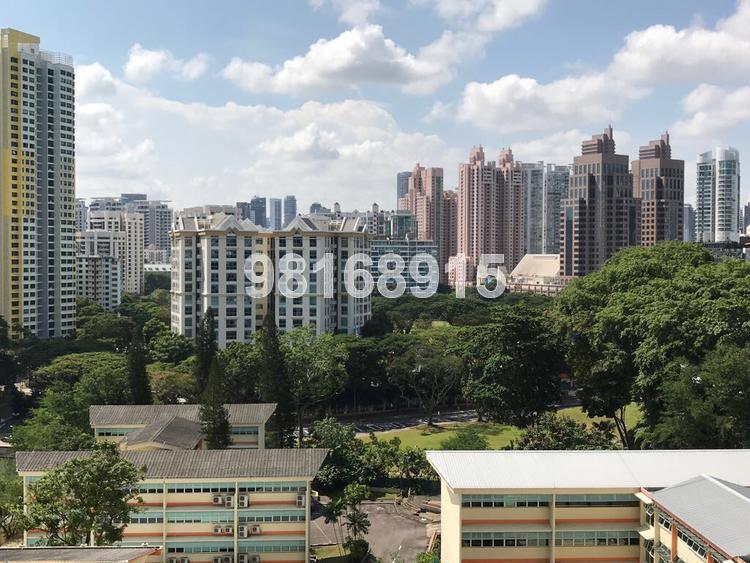 Blk 8B Boon Tiong Arcadia (Bukit Merah), HDB 4 Rooms #150828162